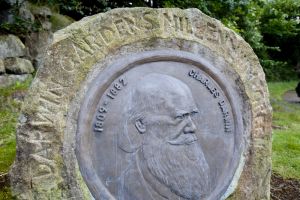 west view park 2012 2  darwin gardens sm.jpg